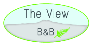 The View